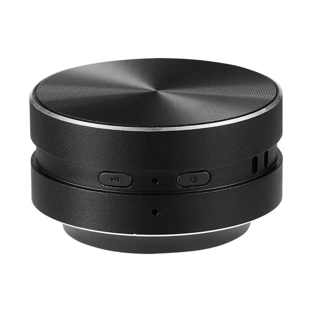 Mini Speaker Hummingbird Sound Box