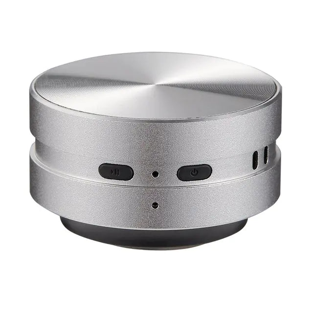 Mini Speaker Hummingbird Sound Box